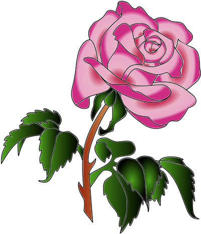 Rose (481x800)