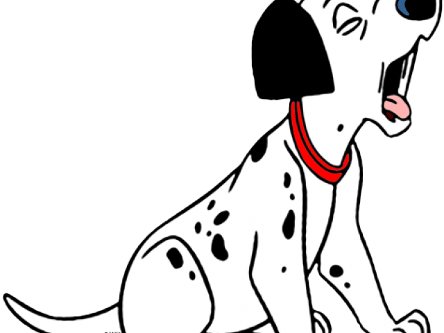 Puppy (640x480)