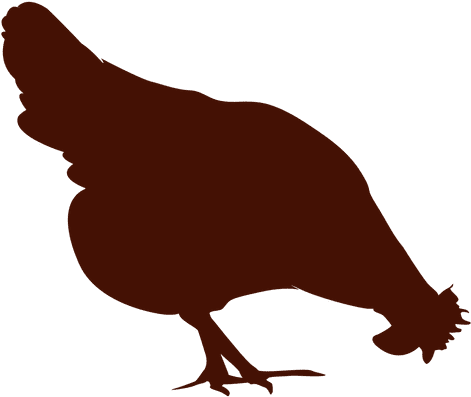Hen Vector Silhouette - Chicken Silhouette No Background (512x512)