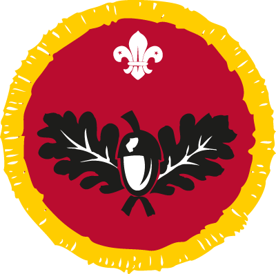 Cubs Global Issues Badge (400x397)