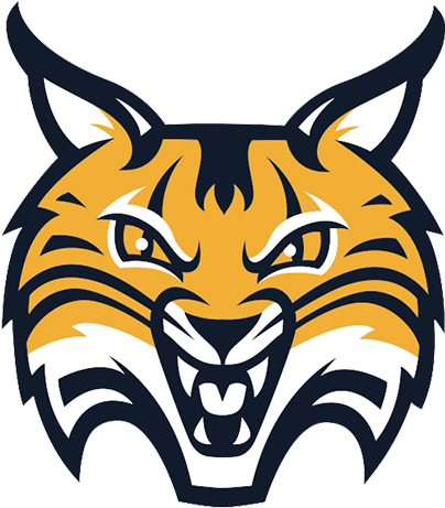 Quinnipiac Bobcats (500x500)
