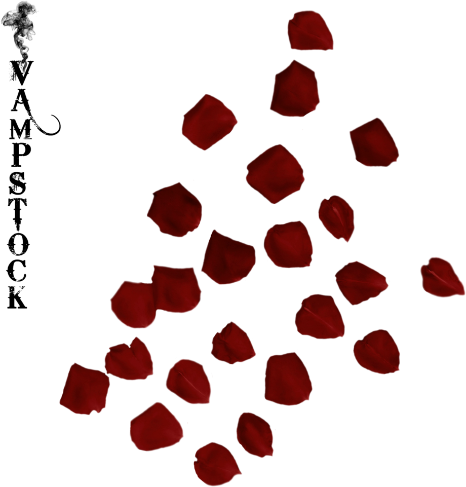 Petal (1024x1024)