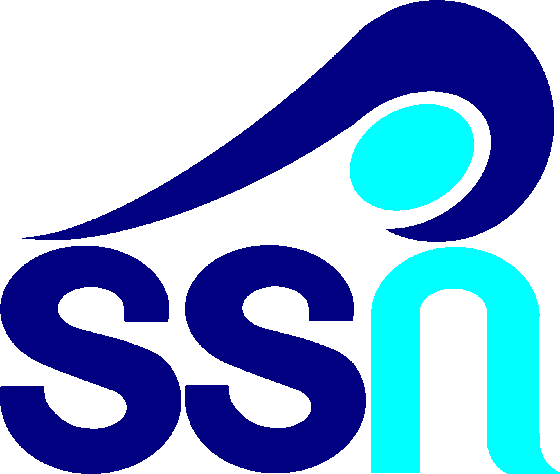 Storm Surge Network - Ssn Logo (1929x1633)