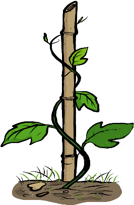 Climber - Draw A Creeper Plant (500x500)