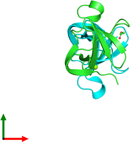 Protein (800x800)