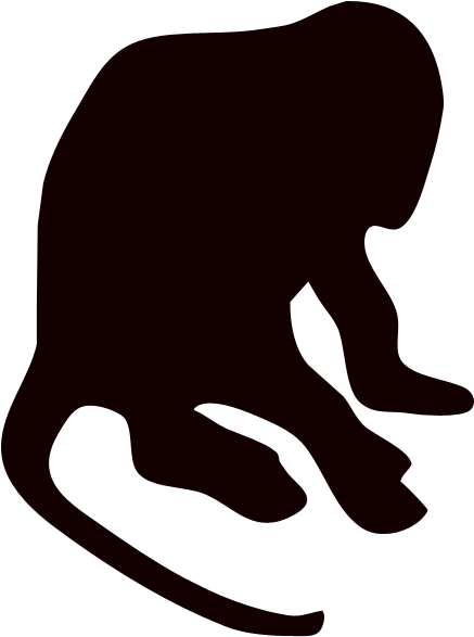 Monkey - Primates Shadow (800x600)