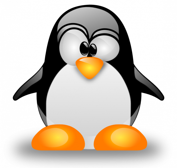 The 11th Annual Ohio Linux Fest Goes Down This Weekend - Linux Logo Png (620x589)