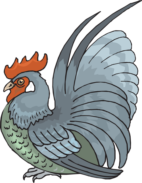 Rooster (500x642)