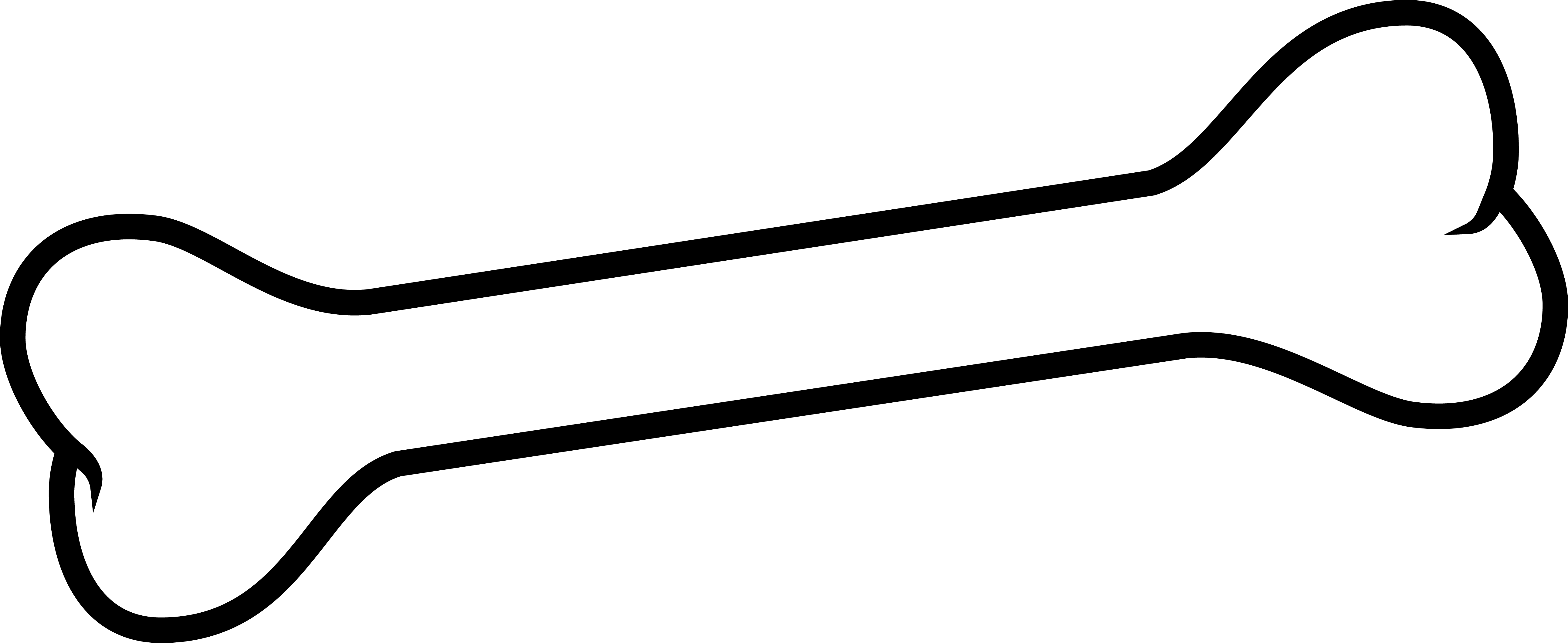 Transparent Bones Background - Bone Png (5167x2119)
