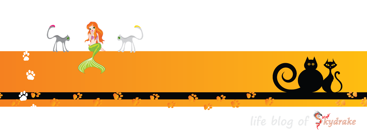 Cat Eat Fish - Design (1180x426)