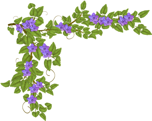 Flower (600x491)