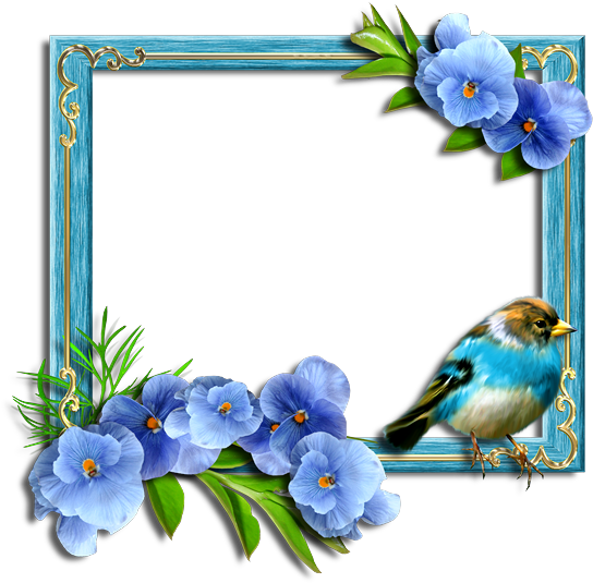 Pansies Frames - Picture Frame (600x600)