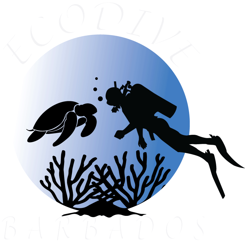 Diving In Barbados - Illustration (904x874)