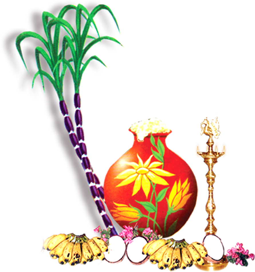 Pongal Sugarcane (891x950)