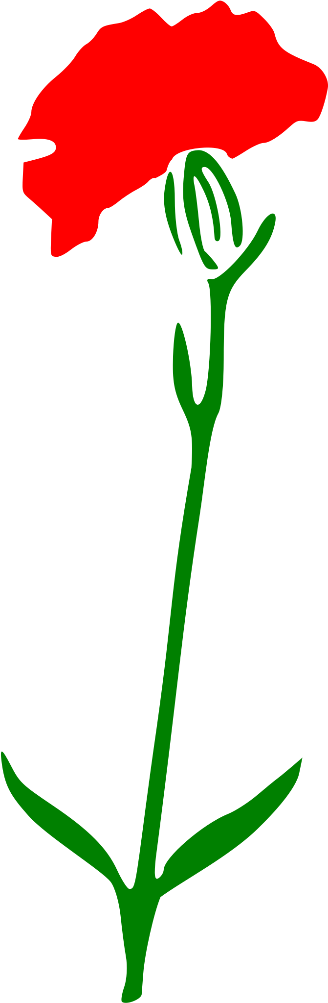 Big Image - Carnation Cartoon (785x2400)
