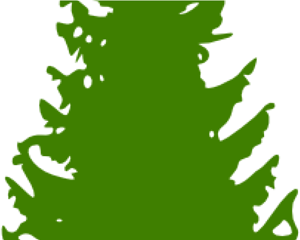 Pine Tree Clipart Transparent Background - Pine Tree Silhouette (640x480)