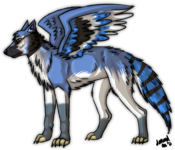 Bluejay Drawing Side View - Blue Jay And Wolf (600x525)