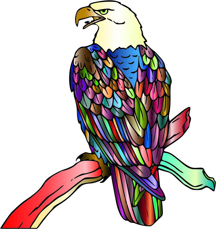 By Gdj - Bald Eagle (740x784)
