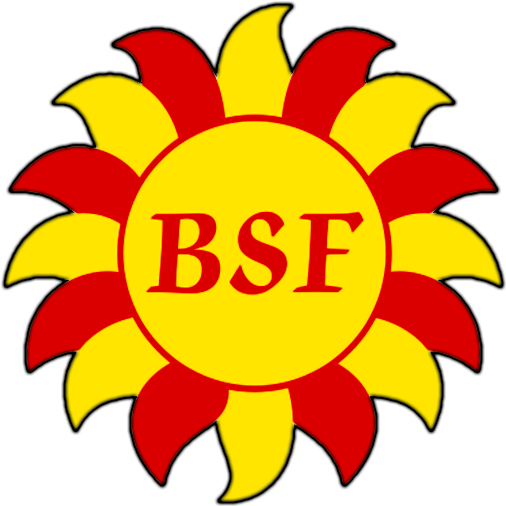 Bright Surface Finishers - Bright Surface Finishers (512x512)