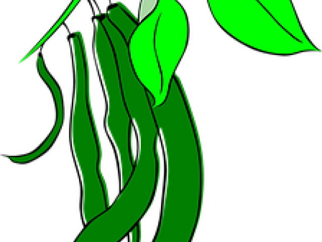 Pulse Clipart String Bean - String Beans Clip Art (640x480)