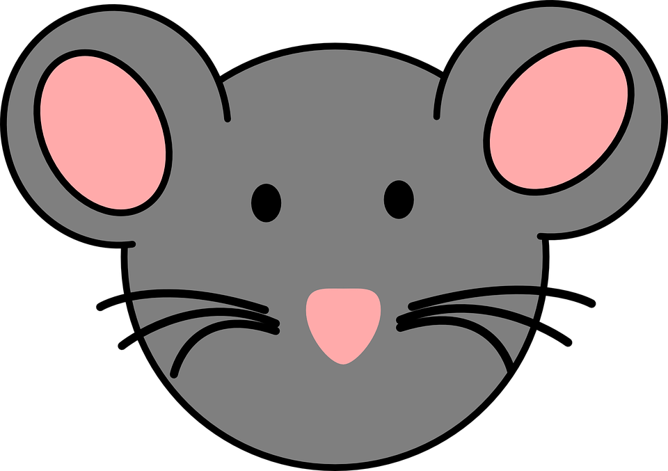 Mouse Face Clipart (960x677)