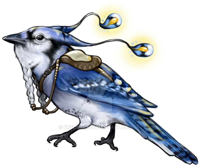 Bluejay Drawing Cute Image Library Download - Drawing (894x894)
