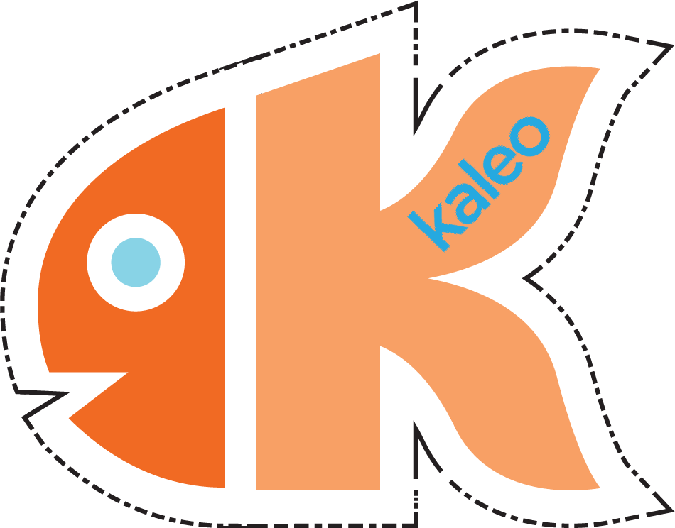 6 Dec - Kaleo Software (950x744)