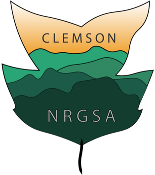 Picture - Clemson University (353x354)