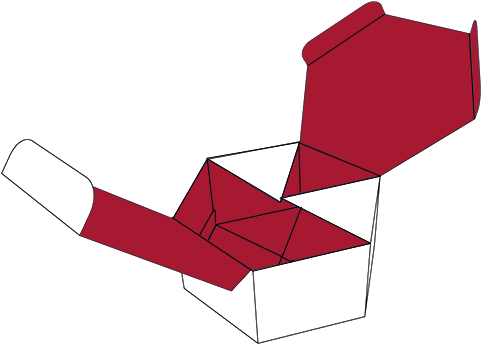 Box 21 (500x500)