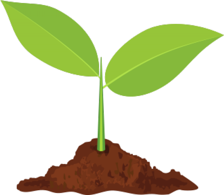 Sprout Slider - Illustration (960x693)