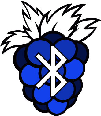Raspberry Pi (900x600)
