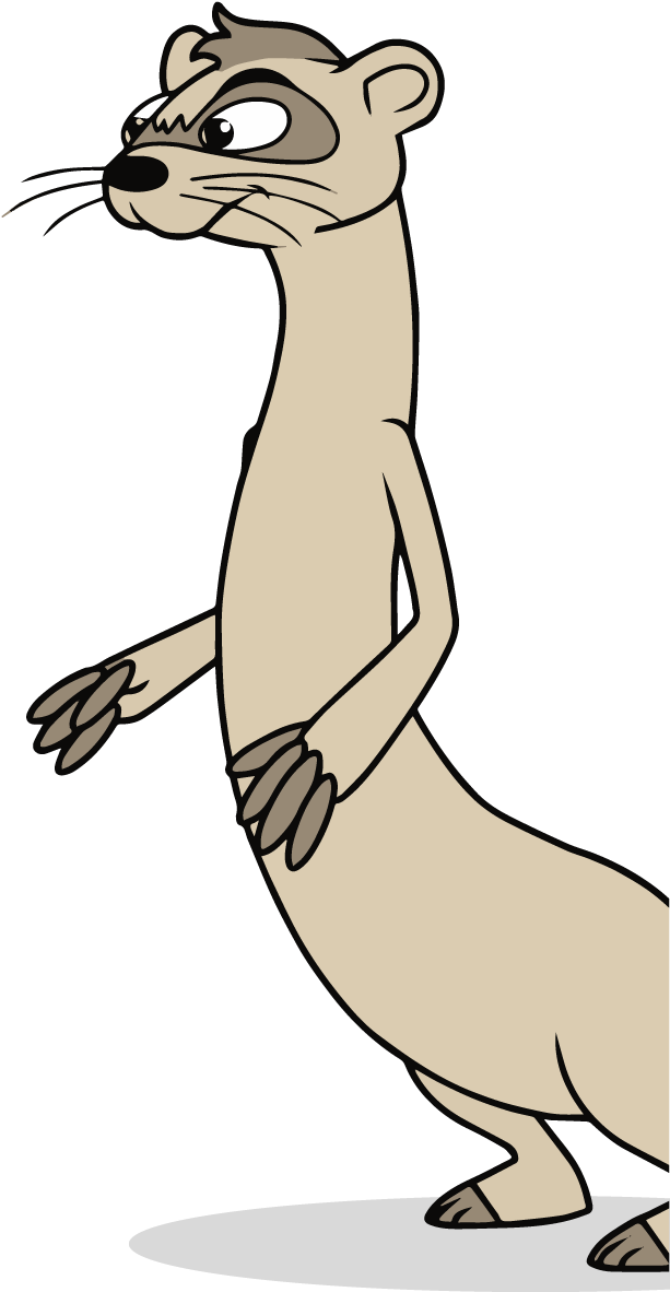 Ferret - Ferret (695x1242)
