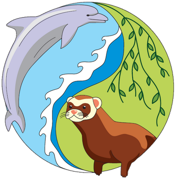 Suces - Ecology (400x400)