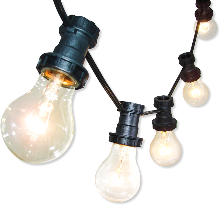 Timbre Luces Lighting System - Lightbulb On String Transparent (745x687)