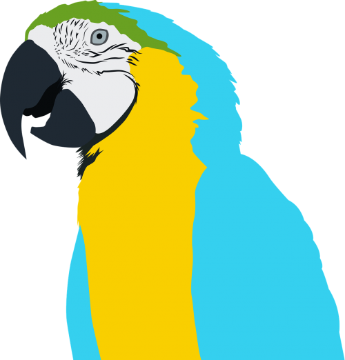 Bird,free - Parrot (500x522)