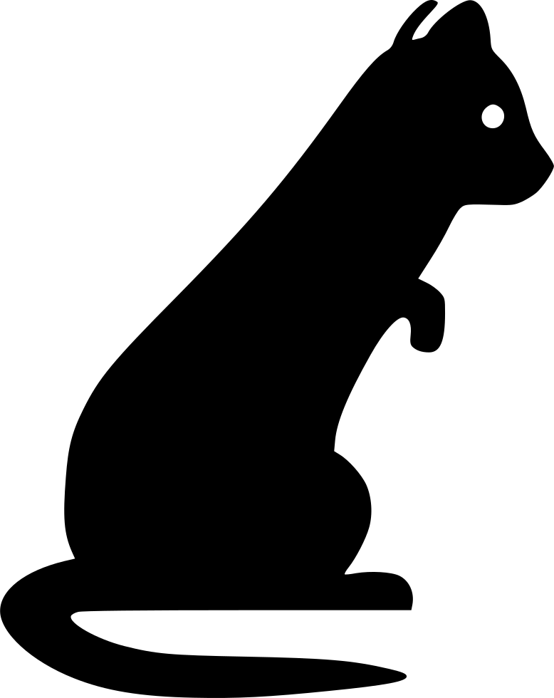 Ferret Svg - Cat (778x980)