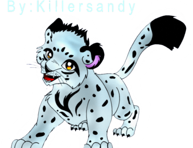 Clouded Leopard Clipart Cartoon - Drawing (640x480)
