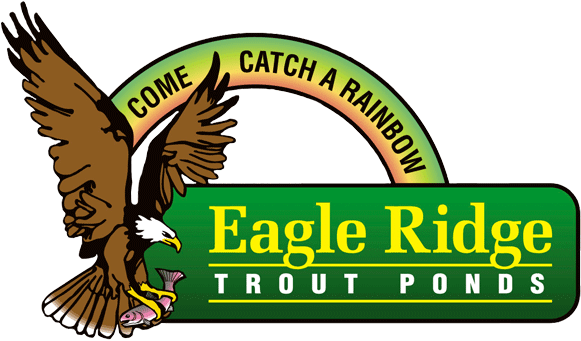 Sauna Clipart Eagle - P7l 0a1 (600x357)