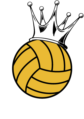 Volleyball Vector (377x503)