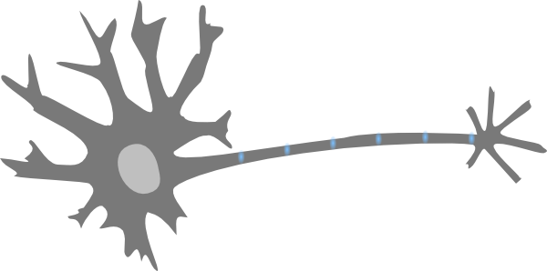 Neuron Clip Art (600x298)