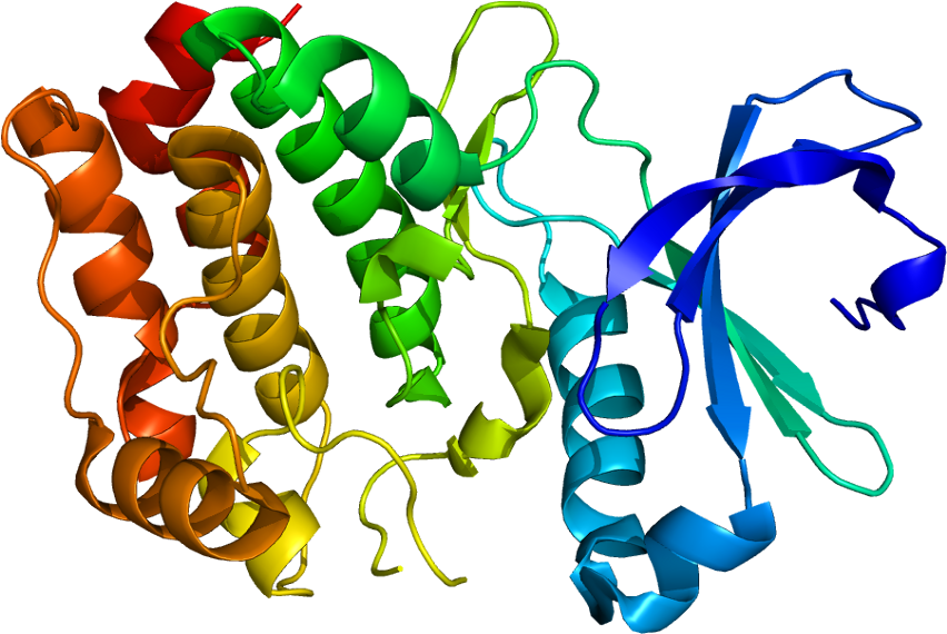 Scientists Develop New Drug Discovery Tool - Virus In Vitro (901x619)