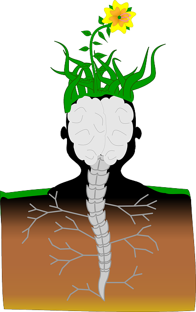 Clipart Info - Can Plants Think (401x640)