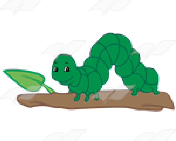 Inchworm Clip Art (640x480)