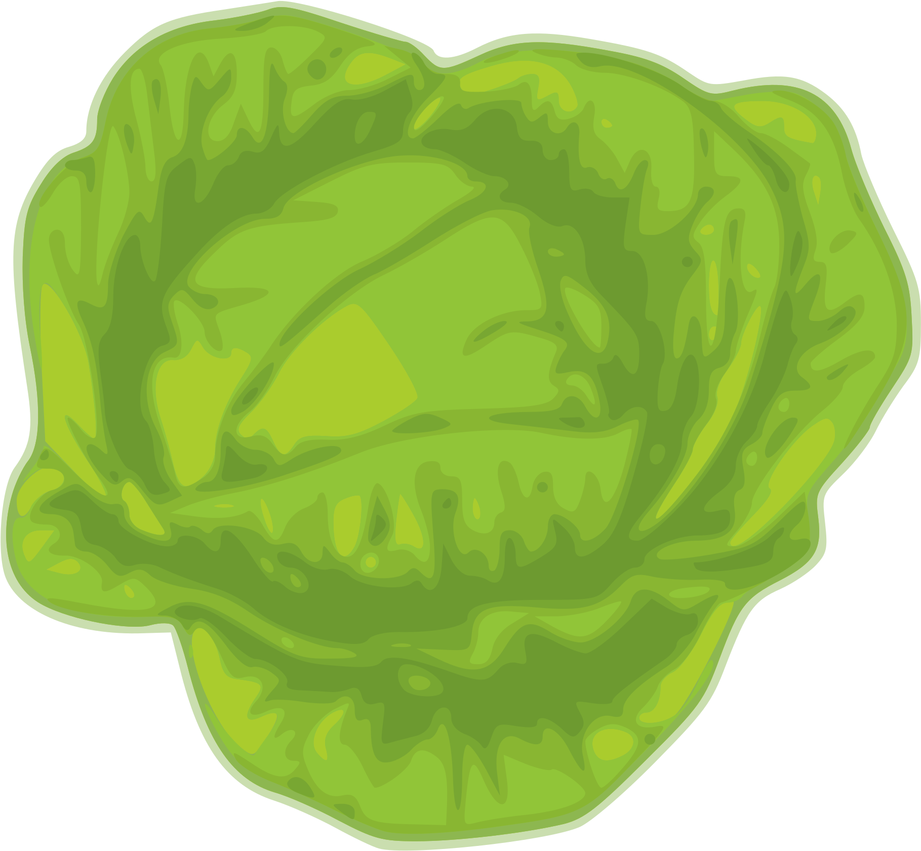 Leaf Vegetable Wikimedia Commons Cabbage Download - Cabbage (2400x2400)
