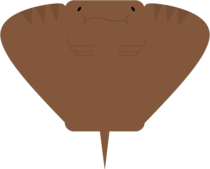 Animalfreshwater Stingray - Illustration (800x600)