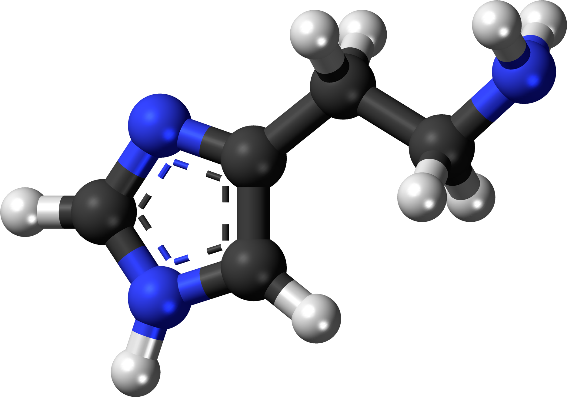 Scombroid Fish Poisoning Bacteria (2000x1438)