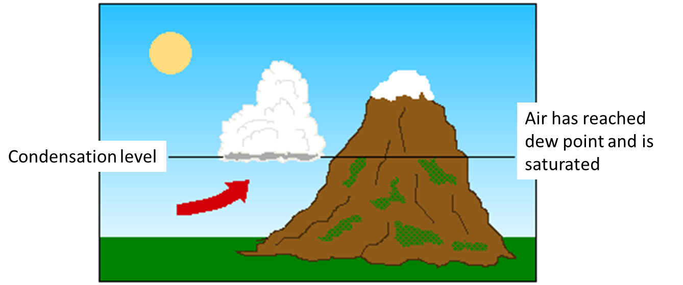 Picture2 - Lifting (1346x558)