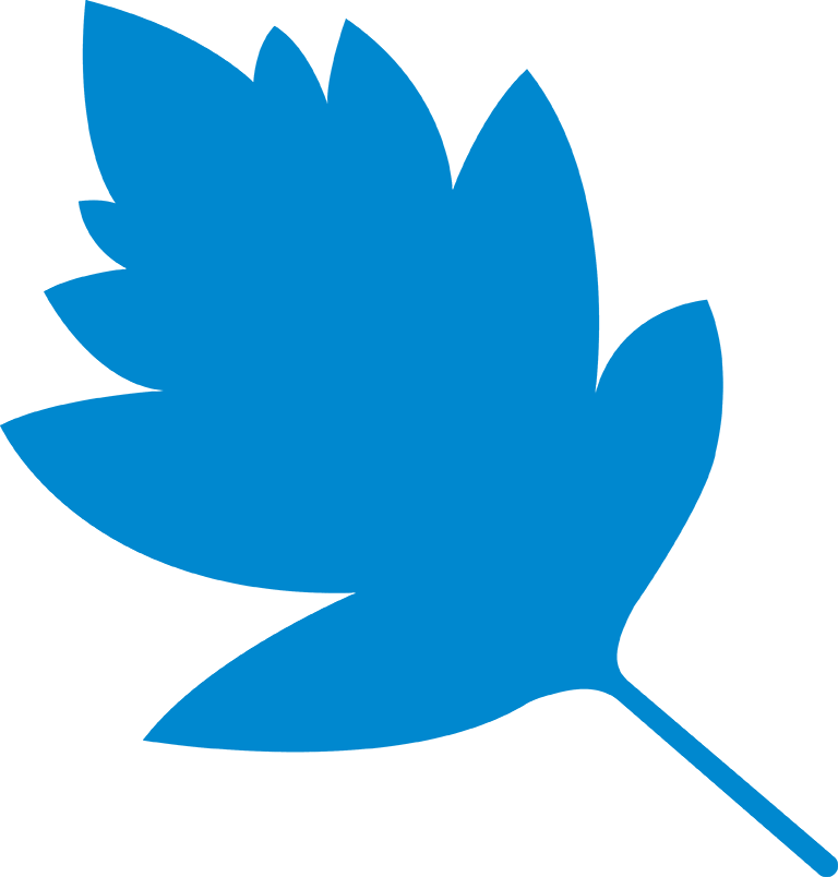 Star Leaf (768x804)