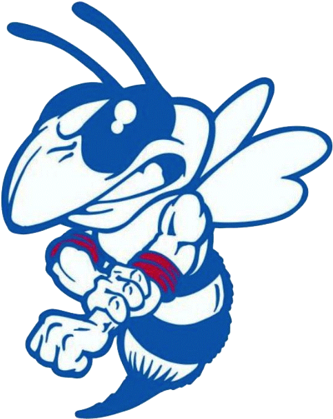 School Logo Image - Yellow Jackets (704x704)