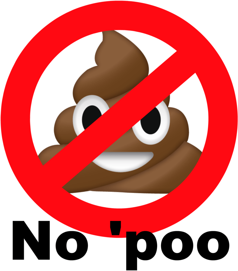 No 'poo Method - No Poo (1024x1024)